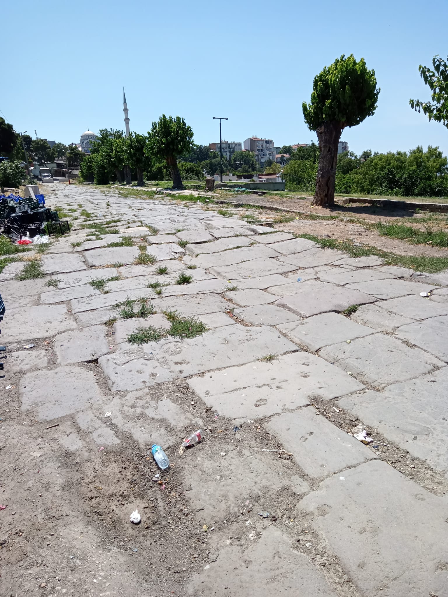 WhatsApp-Image-2024-06-28-at-16.24.20-1-1