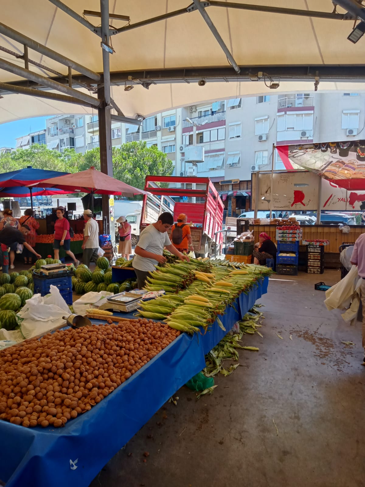 WhatsApp-Image-2024-07-01-at-11.33.40