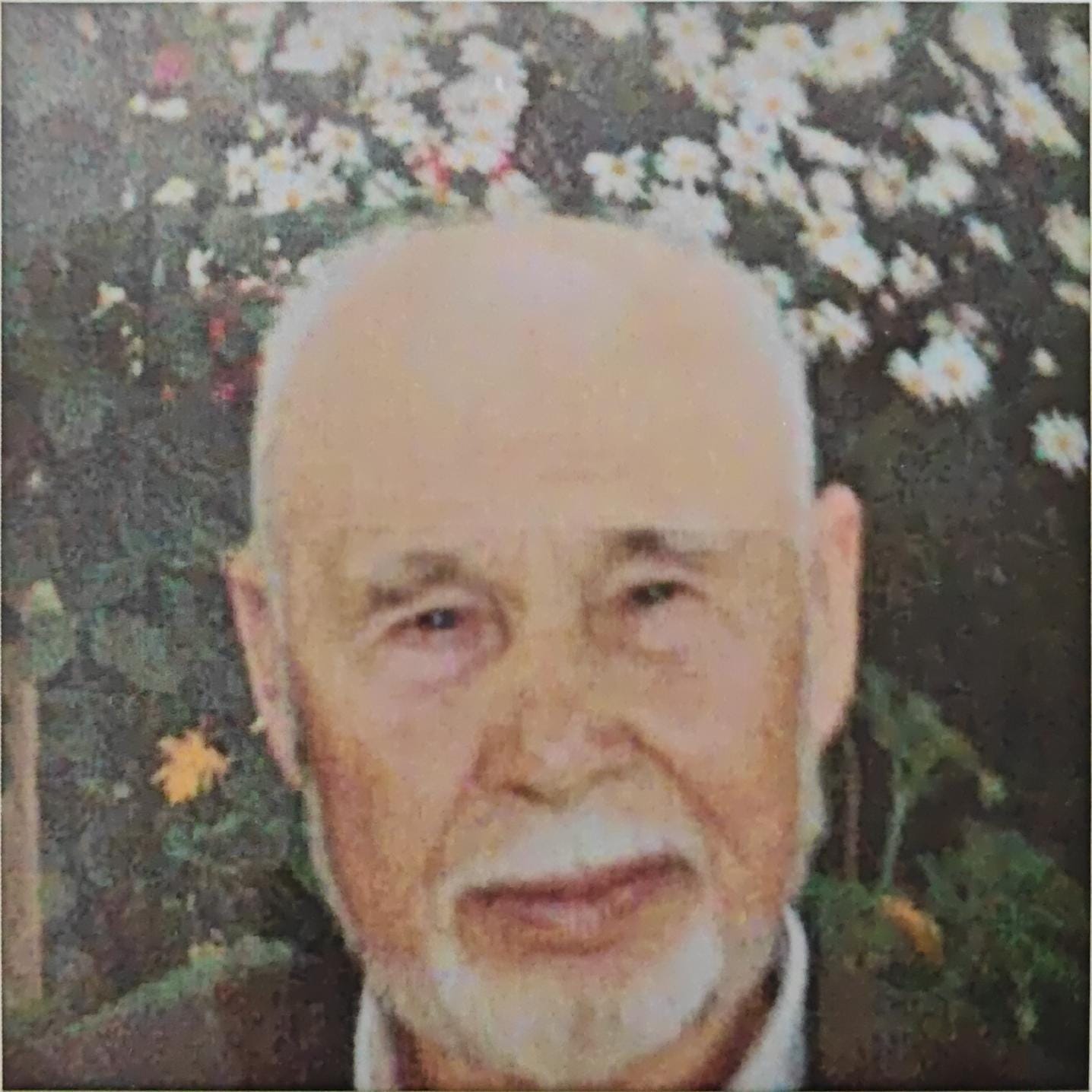 WhatsApp-Image-2024-07-12-at-10.30.53